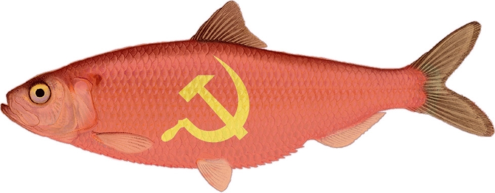 communism158