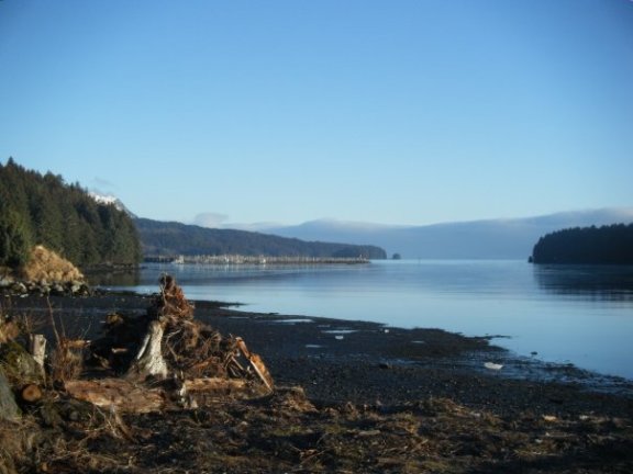 1909919_282015965000_4347_n