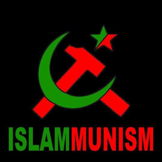communism513