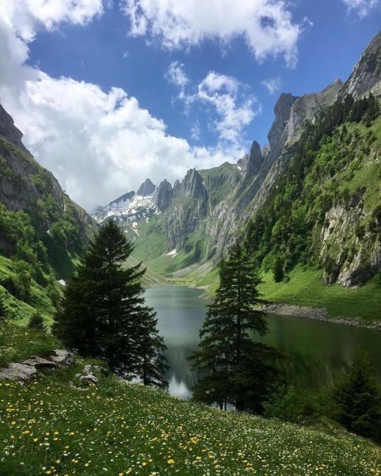 19905298_1409691712443456_4211452335166806963_n